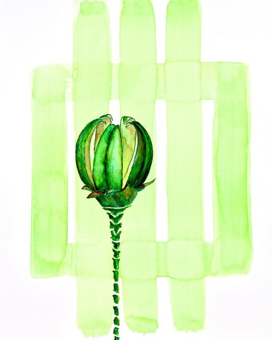 SomeThing Green